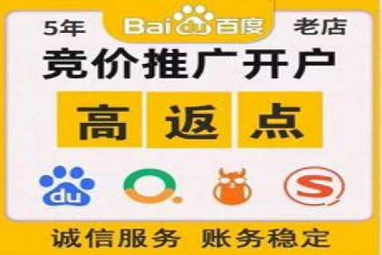 案例解析：SEM推广助力电商转化率提升